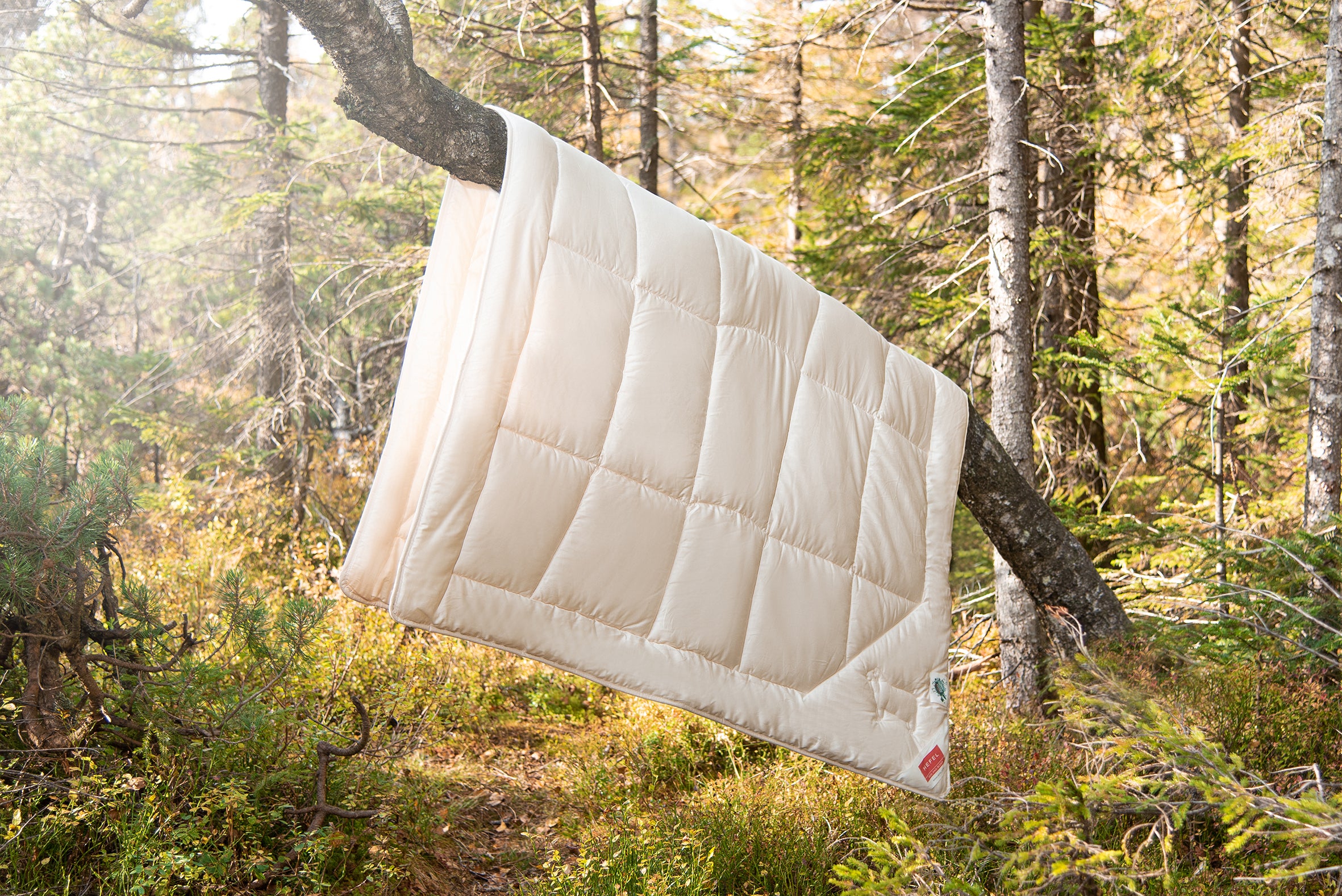 Bettdecke WELLNESS ZIRBE